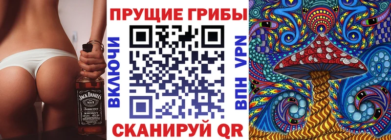 как найти   Анапа  Псилоцибиновые грибы Magic Shrooms 